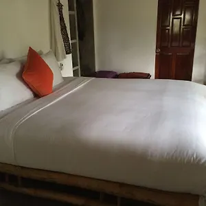 Maison d'hôtes An Bang Hideaway, Hội An